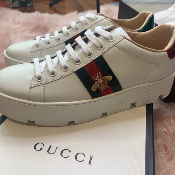 Gucci Shoes Gucci White Leather Bumblebee Sneaker Never Worn Poshmark